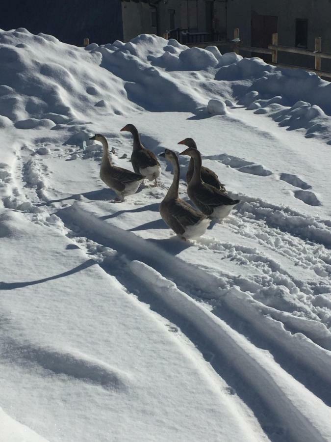 Relax Holiday Sestriere Exterior foto